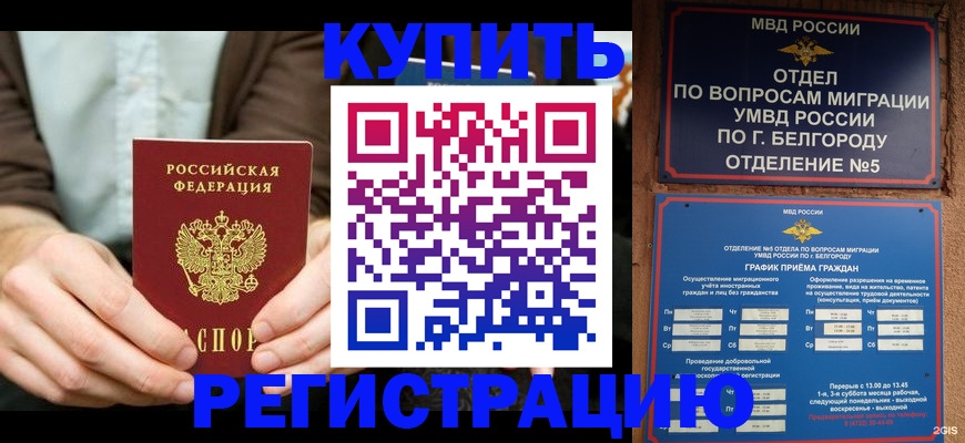 прописка 2025 в Владимире